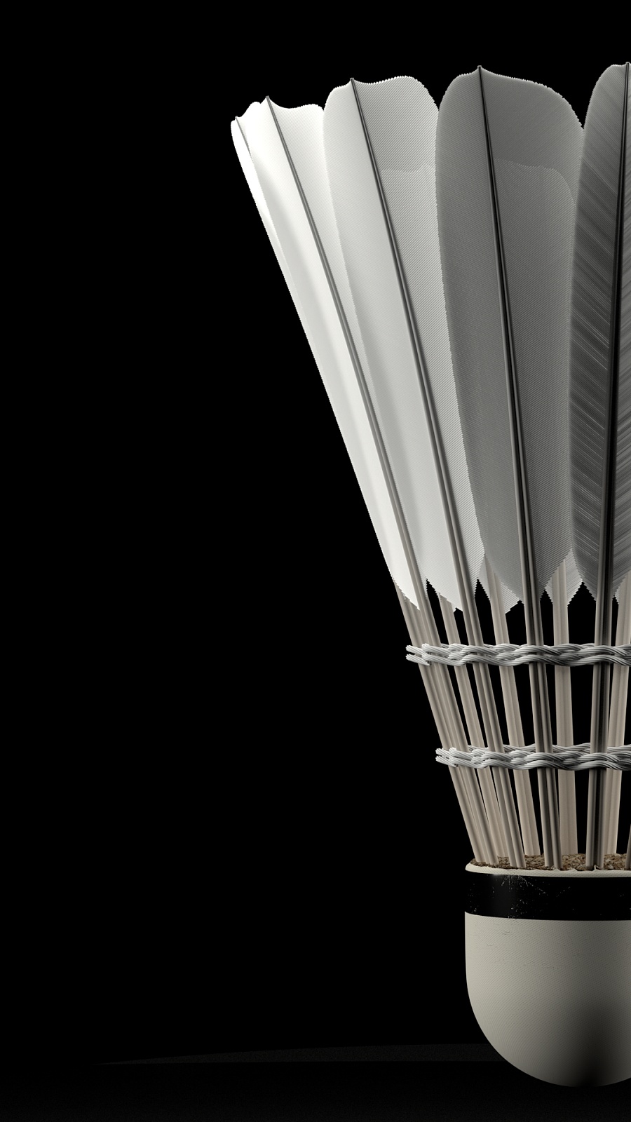 激烈的对抗 激烈的对抗