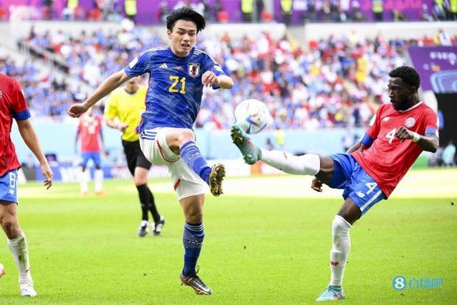 的替代方案 的替代方案